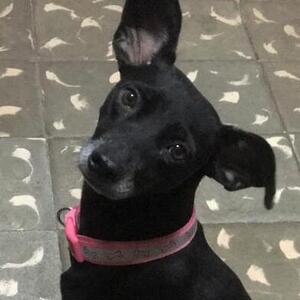 Fundraising Page: Elizabeth Blanco